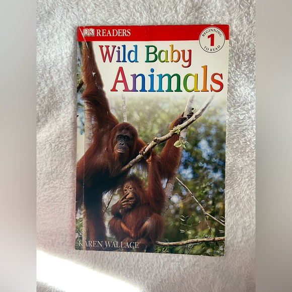 Educational book bundle- non fiction -Scholastic - Picture 11 of 14